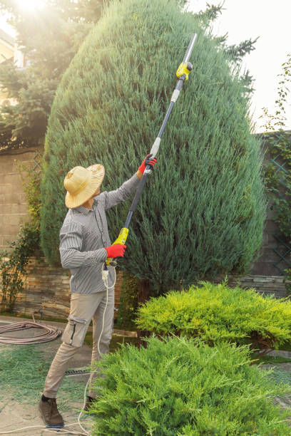 Best Lawn Pest Prevention  in Wentworth, NC